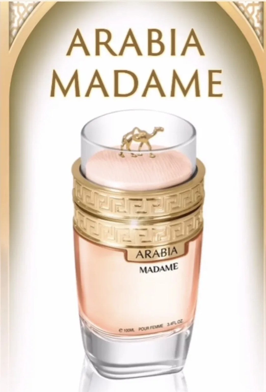 Chameau Arabia Madame