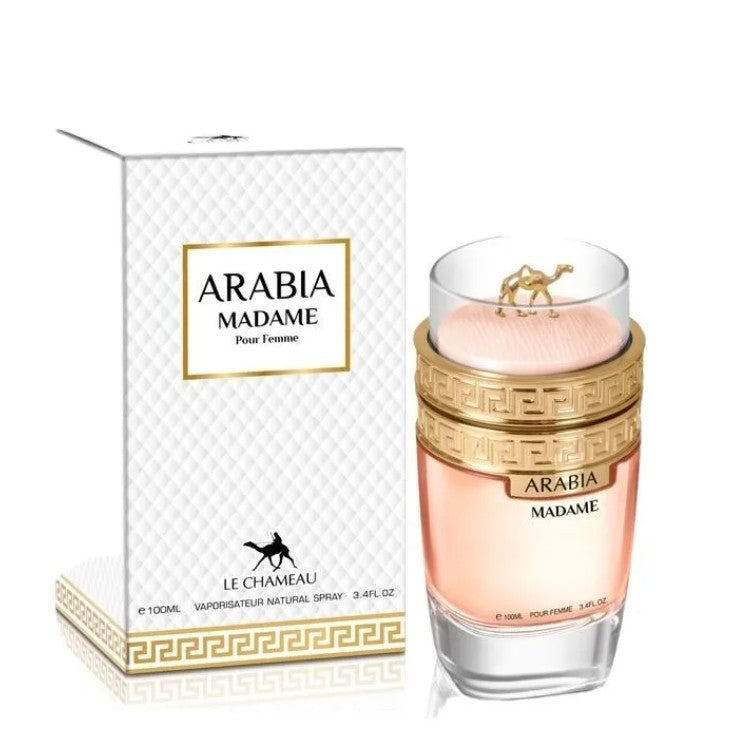 Chameau Arabia Madame